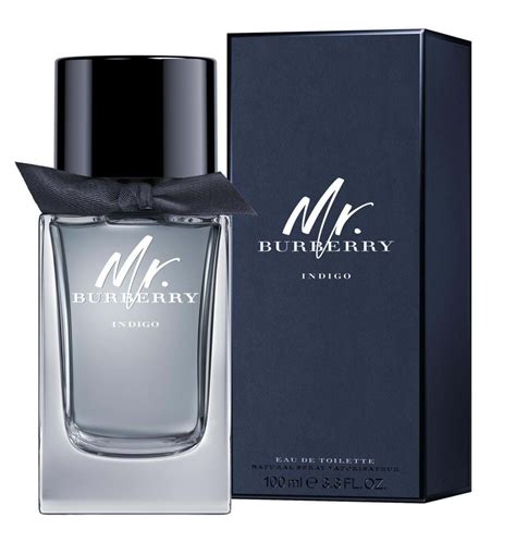 cologne mr burberry|mr Burberry indigo fragrantica.